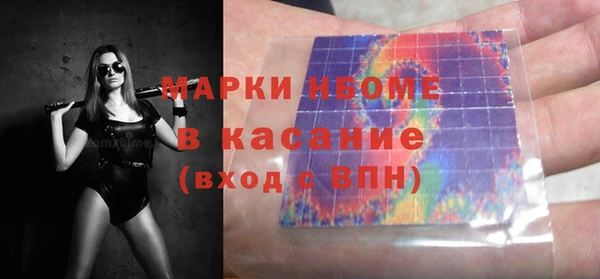 прущие грибы Белокуриха