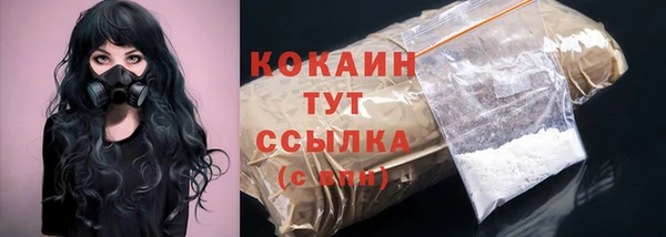 гидра Белоозёрский