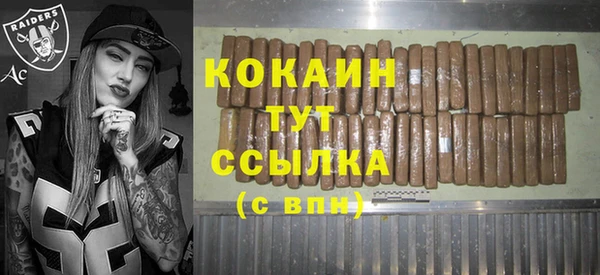 гидра Белоозёрский