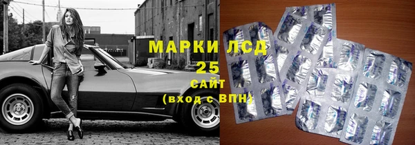 прущие грибы Белокуриха