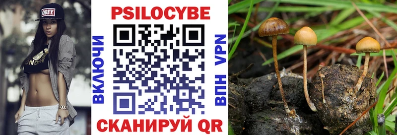 Галлюциногенные грибы MAGIC MUSHROOMS  Ясногорск 